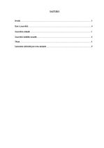 Referāts 'Jaunvārdi latviešu valodā', 2.