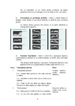 Konspekts 'Cistiskā fibroze', 6.