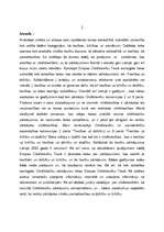 Referāts 'Cilvēktiesību pārkāpumi', 3.