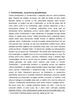 Referāts 'Cilvēktiesību pārkāpumi', 4.