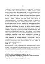 Referāts 'Cilvēktiesību pārkāpumi', 5.