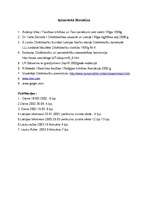 Referāts 'Cilvēktiesību pārkāpumi', 23.