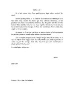 Eseja 'Vēstule grāmatas varonim', 1.