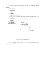 Referāts 'Datortīkla izveide elektromontāžas/elektroinstalācijas uzņēmumā', 6.