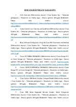 Referāts 'Datortīkla izveide elektromontāžas/elektroinstalācijas uzņēmumā', 33.