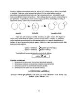 Referāts 'Alķīmijas filosofija', 44.