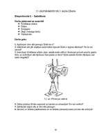 Referāts 'Alķīmijas filosofija', 62.