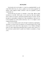 Paraugs 'Kravas izvietošana puspiekabē', 26.