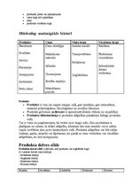 Referāts 'Mārketinga darbība uzņēmumā', 2.