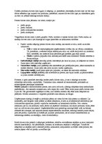 Referāts 'Mārketinga darbība uzņēmumā', 5.