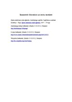 Referāts 'Dopings sportā', 19.