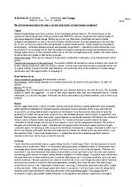 Konspekts 'Review Papers of Political Science Experiments in International Relations', 24.