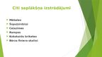 Prezentācija 'AS "Latvijas Finieris"', 8.
