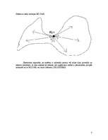 Prakses atskaite 'Mārketinga prakses atskaite', 8.