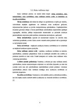 Referāts 'Informācijas tehnoloģiju risinājumi finanšu risku analīzē', 11.