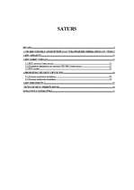 Referāts 'Elektroniskās deklarēšanas ieviešanas problēmas VID RRI Ogres nodaļā', 2.