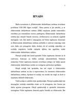 Referāts 'Elektroniskās deklarēšanas ieviešanas problēmas VID RRI Ogres nodaļā', 3.