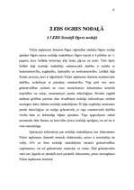 Referāts 'Elektroniskās deklarēšanas ieviešanas problēmas VID RRI Ogres nodaļā', 19.