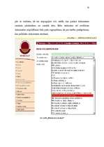 Referāts 'Elektroniskās deklarēšanas ieviešanas problēmas VID RRI Ogres nodaļā', 48.