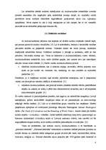 Referāts 'Multikulturālisms mūsdienu sabiedrībā', 8.