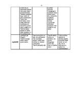 Referāts 'Vides plānošana un pašvaldību attīstība', 13.