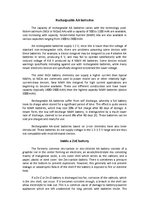 Konspekts 'AA Battery', 2.