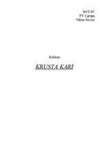 Referāts 'Krusta kari', 1.