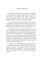 Referāts 'Slimību interpretācija un ārstēšana viduslaikos', 7.