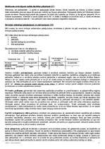 Konspekts 'Audits', 31.