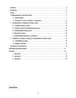 Referāts 'Limbažu rajona nodarbinātības situācijas raksturojums un iespējamie risinājumi', 2.