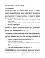 Referāts 'Limbažu rajona nodarbinātības situācijas raksturojums un iespējamie risinājumi', 7.