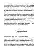 Referāts 'Limbažu rajona nodarbinātības situācijas raksturojums un iespējamie risinājumi', 10.