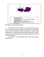 Referāts 'Limbažu rajona nodarbinātības situācijas raksturojums un iespējamie risinājumi', 45.