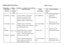 Prakses atskaite 'Aprūpes plāns psihiatrijā', 7.