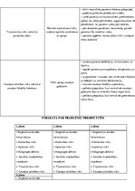 Prakses atskaite 'Aprūpes plāns psihiatrijā', 13.