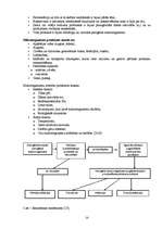 Referāts 'Gaļas produktu mikrobiāla piesaiņošana', 14.