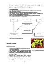 Referāts 'Gaļas produktu mikrobiāla piesaiņošana', 17.