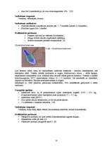 Referāts 'Gaļas produktu mikrobiāla piesaiņošana', 18.