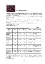 Referāts 'Gaļas produktu mikrobiāla piesaiņošana', 19.