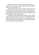 Referāts 'Pamudinājumi un sodi pusaudža audzināšanā', 7.