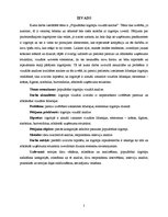 Referāts 'Pasaules populārāko logotipu vizuālā analīze', 3.