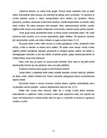 Referāts 'Pasaules populārāko logotipu vizuālā analīze', 14.