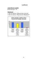 Referāts 'Daugavpils pilsēta Pirmā pasaules kara laikā. (1914. - 1918.)', 26.