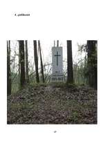 Referāts 'Daugavpils pilsēta Pirmā pasaules kara laikā. (1914. - 1918.)', 29.