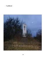 Referāts 'Daugavpils pilsēta Pirmā pasaules kara laikā. (1914. - 1918.)', 30.