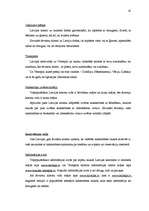 Diplomdarbs 'Lauku tūrisma attīstība Ventspils rajonā', 41.