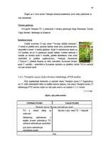 Diplomdarbs 'Lauku tūrisma attīstība Ventspils rajonā', 48.