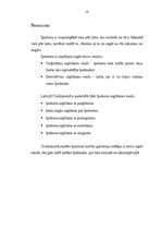 Referāts 'Īpašuma iegūšanas veidu vispārīgs raksturojums', 18.