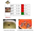 Referāts 'Zivkopība jeb akvakultūra Latvijā', 16.