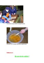 Referāts 'Zivkopība jeb akvakultūra Latvijā', 17.